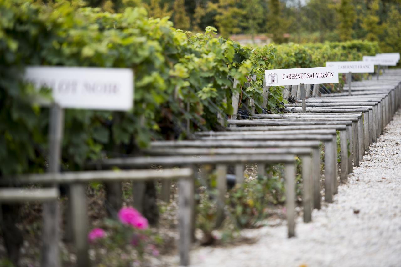 Chateau Cordeillan-Bages Pauillac Luaran gambar